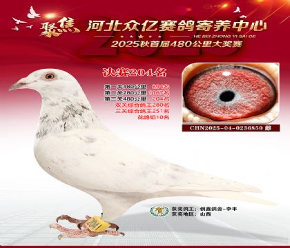 �ӱ����������������204��