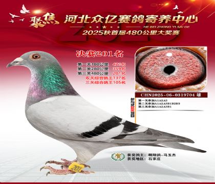 �ӱ����������������201��