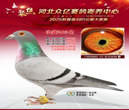 �ӱ����������������203��