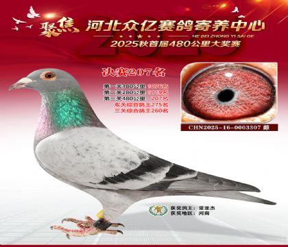 �ӱ����������������207��