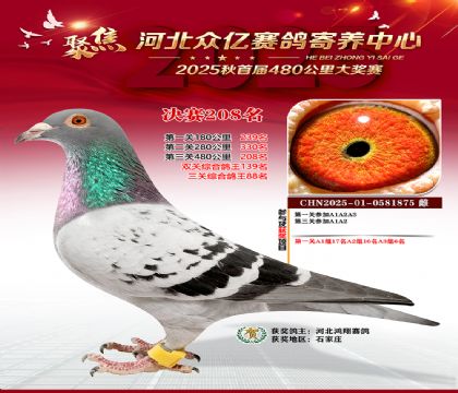 �ӱ����������������208��