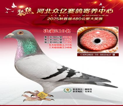 �ӱ����������������210��