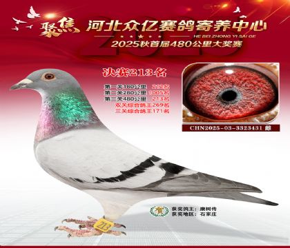 �ӱ����������������213��