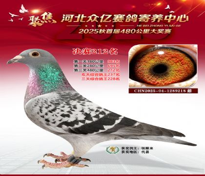 �ӱ����������������212��