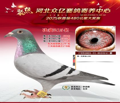 �ӱ����������������215��