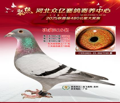 �ӱ����������������218��