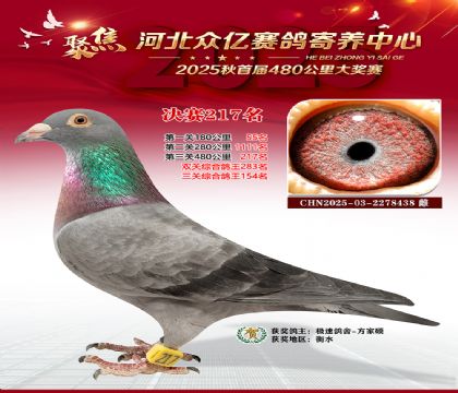 �ӱ����������������217��