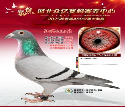 �ӱ����������������219��