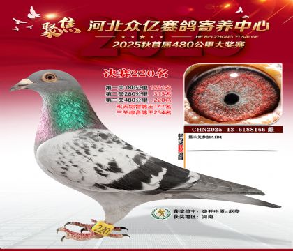 �ӱ����������������220��