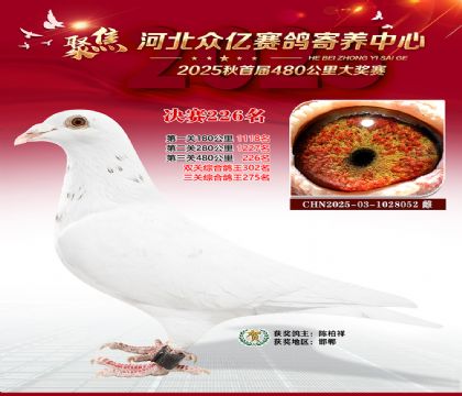 �ӱ����������������226��