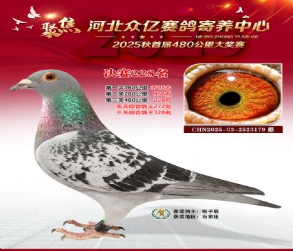 �ӱ����������������228��