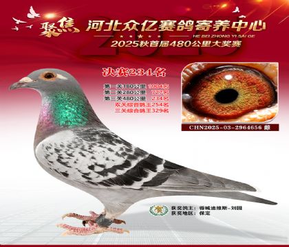 �ӱ����������������234��