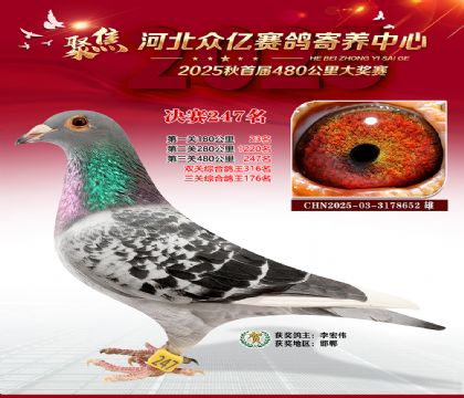 �ӱ����������������247��