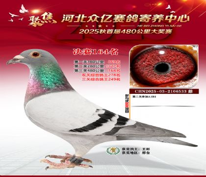 河北众亿赛鸽寄养中心164名