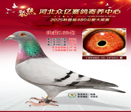 河北众亿赛鸽寄养中心162名