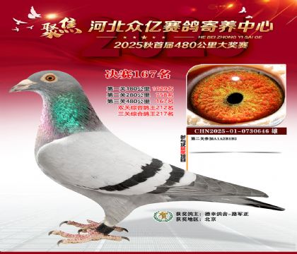 河北众亿赛鸽寄养中心167名