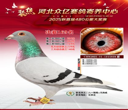 河北众亿赛鸽寄养中心169名