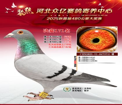 河北众亿赛鸽寄养中心171名