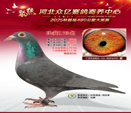 河北众亿赛鸽寄养中心173名