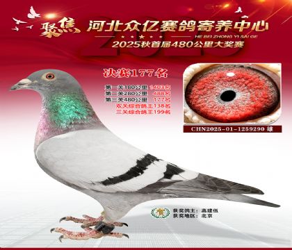 河北众亿赛鸽寄养中心177名