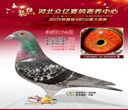 河北众亿赛鸽寄养中心174名