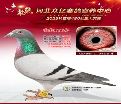 河北众亿赛鸽寄养中心179名