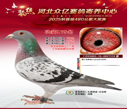 河北众亿赛鸽寄养中心178名