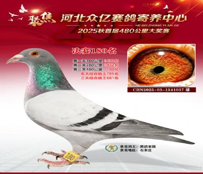 河北众亿赛鸽寄养中心180名