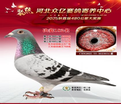 河北众亿赛鸽寄养中心182名