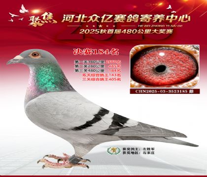 河北众亿赛鸽寄养中心184名