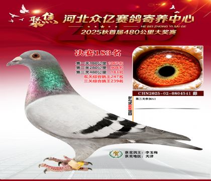 河北众亿赛鸽寄养中心183名