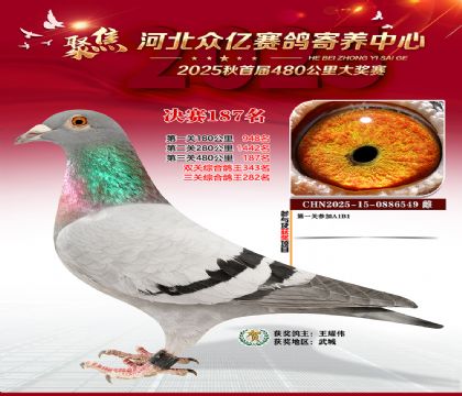 河北众亿赛鸽寄养中心187名