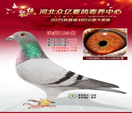 河北众亿赛鸽寄养中心185名