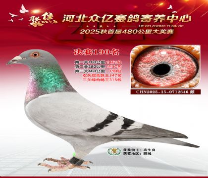 �ӱ����������������190��