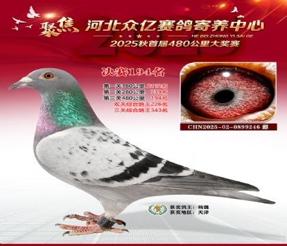 �ӱ����������������194��