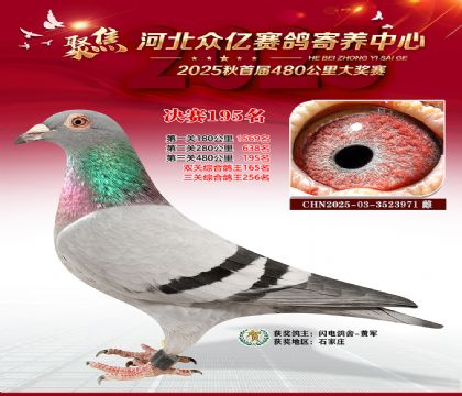 �ӱ����������������195��