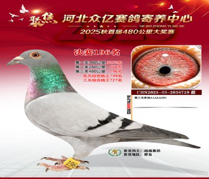 �ӱ����������������196��