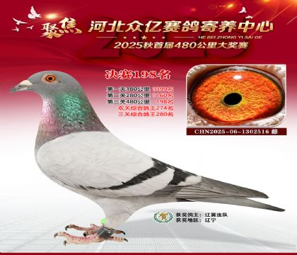 �ӱ����������������198��