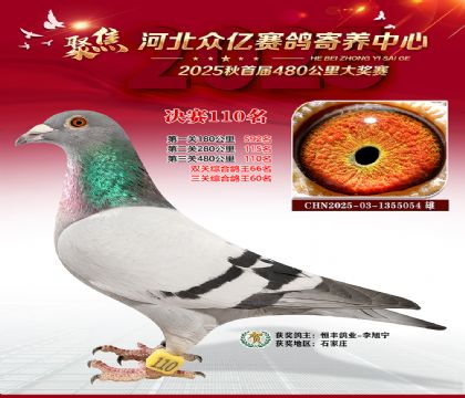 河北众亿赛鸽寄养中心110名