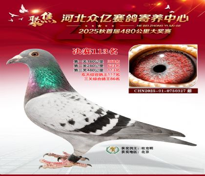 河北众亿赛鸽寄养中心113名