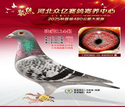 河北众亿赛鸽寄养中心114名