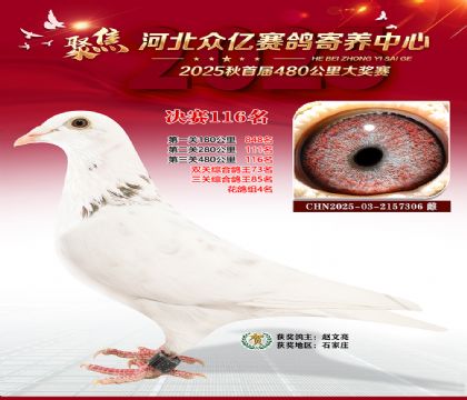 河北众亿赛鸽寄养中心116名