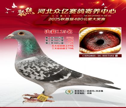 河北众亿赛鸽寄养中心115名