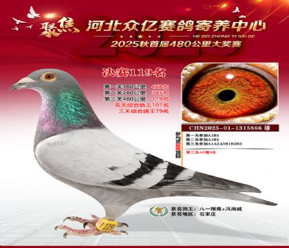 河北众亿赛鸽寄养中心119名