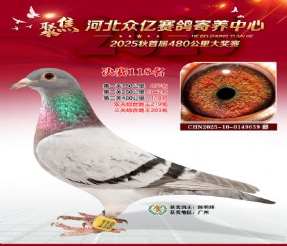 河北众亿赛鸽寄养中心118名