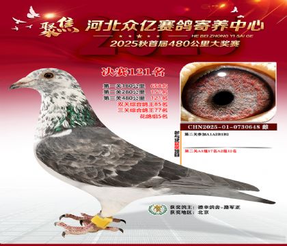 河北众亿赛鸽寄养中心121名