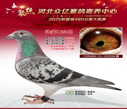 河北众亿赛鸽寄养中心122名