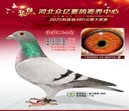 河北众亿赛鸽寄养中心124名