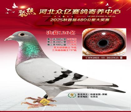 河北众亿赛鸽寄养中心126名