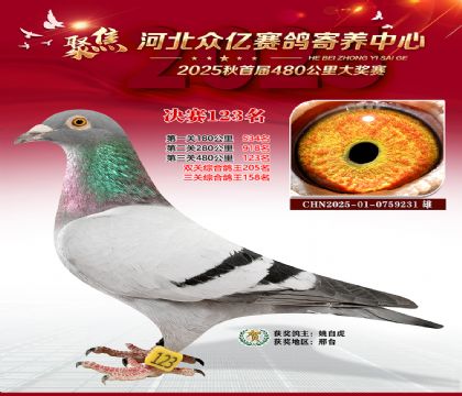 河北众亿赛鸽寄养中心123名